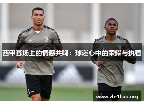 西甲赛场上的情感共鸣：球迷心中的荣耀与执着