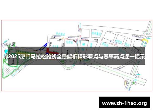 2025厦门马拉松路线全景解析精彩看点与赛事亮点逐一揭示